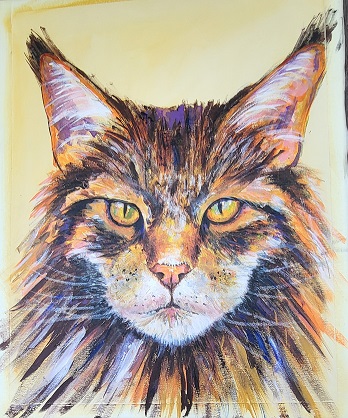 Main-Coon-Katze — Brigitte Gindra-Vady