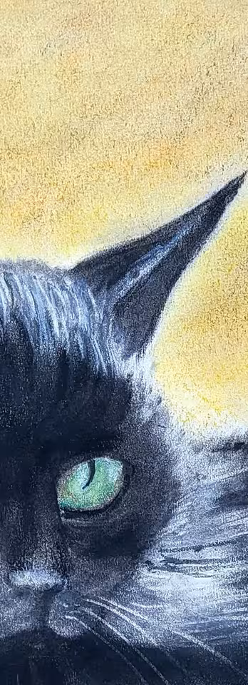 Chat Noir — Brigitte Gindra-Vady